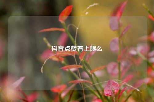 抖音点赞有上限么  第1张