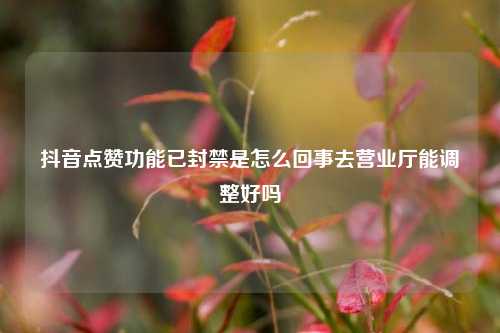 抖音点赞功能已封禁是怎么回事去营业厅能调整好吗  第1张