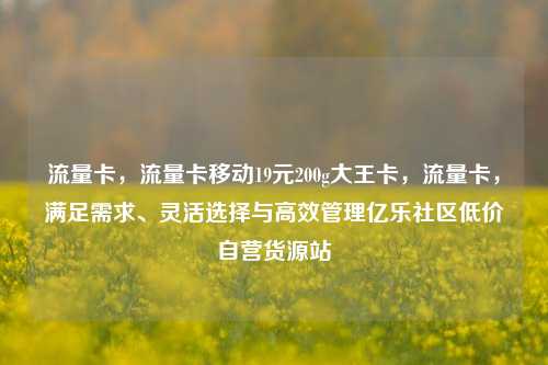 流量卡	，流量卡移动19元200g大王卡，流量卡，满足需求、灵活选择与高效管理亿乐社区低价自营货源站  第1张