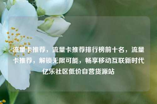 流量卡推荐	，流量卡推荐排行榜前十名，流量卡推荐，解锁无限可能	，畅享移动互联新时代亿乐社区低价自营货源站  第1张