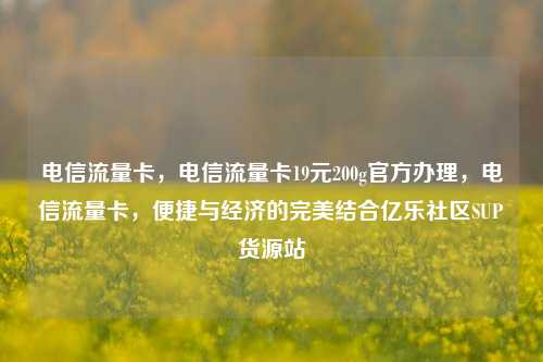 电信流量卡，电信流量卡19元200g官方办理	，电信流量卡，便捷与经济的完美结合亿乐社区SUP货源站  第1张