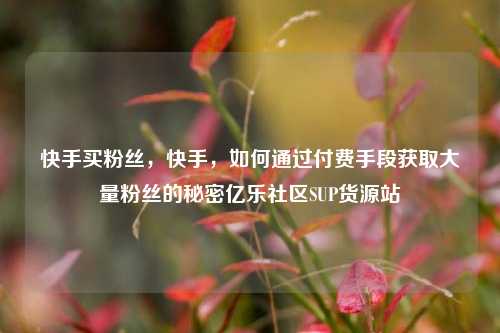快手买粉丝，快手，如何通过付费手段获取大量粉丝的秘密亿乐社区SUP货源站  第1张