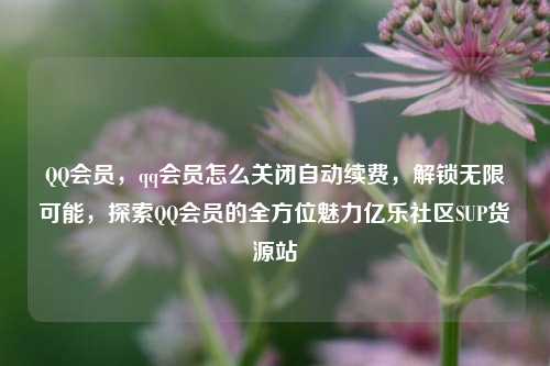QQ会员，qq会员怎么关闭自动续费	，解锁无限可能，探索QQ会员的全方位魅力亿乐社区SUP货源站  第1张