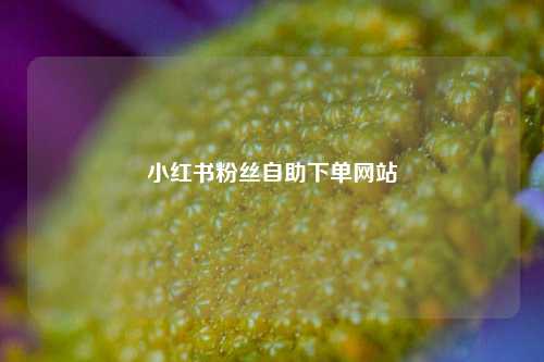 小红书粉丝自助下单网站  第1张