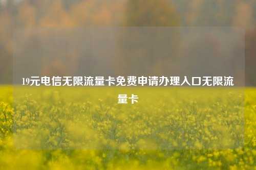 19元电信无限流量卡免费申请办理入口无限流量卡  第1张
