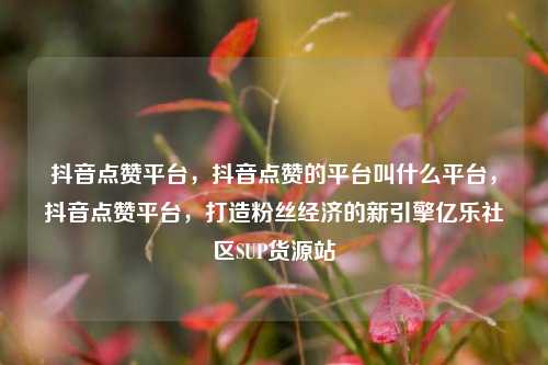 抖音点赞平台，抖音点赞的平台叫什么平台	，抖音点赞平台，打造粉丝经济的新引擎亿乐社区SUP货源站  第1张