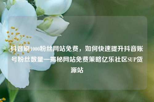 抖音刷1000粉丝网站免费，如何快速提升抖音账号粉丝数量—揭秘网站免费策略亿乐社区SUP货源站  第1张