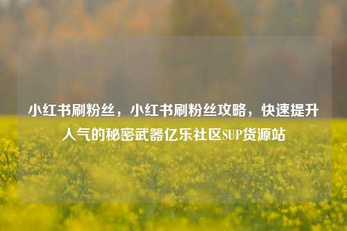 小红书刷粉丝	，小红书刷粉丝攻略，快速提升人气的秘密武器亿乐社区SUP货源站  第1张