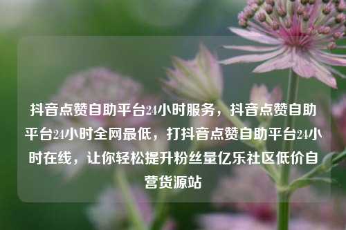 抖音点赞自助平台24小时服务，抖音点赞自助平台24小时全网最低，打抖音点赞自助平台24小时在线	，让你轻松提升粉丝量亿乐社区低价自营货源站  第1张