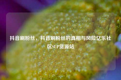 抖音刷粉丝	，抖音刷粉丝的真相与风险亿乐社区SUP货源站  第1张