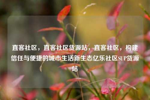 直客社区，直客社区货源站，直客社区	，构建信任与便捷的城市生活新生态亿乐社区SUP货源站  第1张