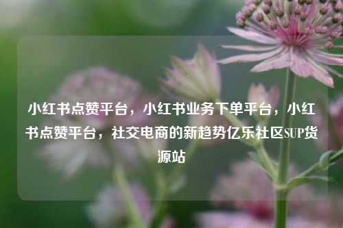 小红书点赞平台，小红书业务下单平台，小红书点赞平台	，社交电商的新趋势亿乐社区SUP货源站  第1张