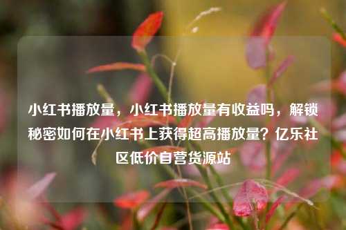 小红书播放量，小红书播放量有收益吗	，解锁秘密如何在小红书上获得超高播放量？亿乐社区低价自营货源站  第1张