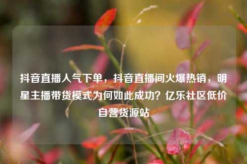 抖音直播人气下单，抖音直播间火爆热销	，明星主播带货模式为何如此成功？亿乐社区低价自营货源站  第1张