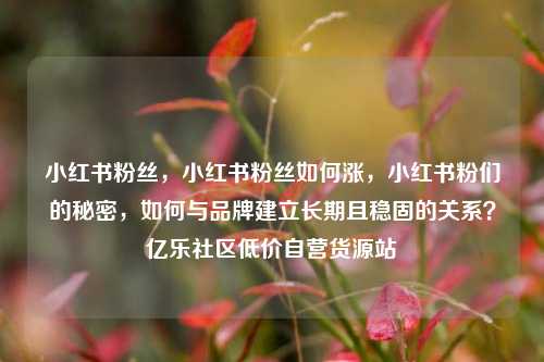 小红书粉丝	，小红书粉丝如何涨，小红书粉们的秘密，如何与品牌建立长期且稳固的关系？亿乐社区低价自营货源站  第1张