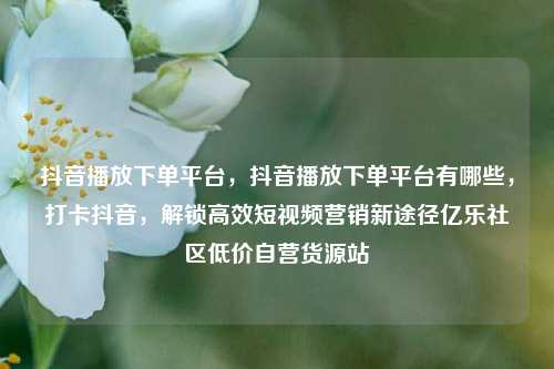 抖音播放下单平台	，抖音播放下单平台有哪些，打卡抖音，解锁高效短视频营销新途径亿乐社区低价自营货源站  第1张