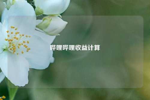 哔哩哔哩收益计算  第1张