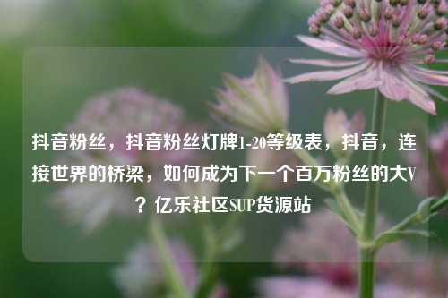 抖音粉丝，抖音粉丝灯牌1-20等级表，抖音	，连接世界的桥梁，如何成为下一个百万粉丝的大V？亿乐社区SUP货源站  第1张