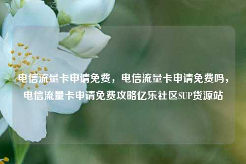 电信流量卡申请免费，电信流量卡申请免费吗	，电信流量卡申请免费攻略亿乐社区SUP货源站  第1张