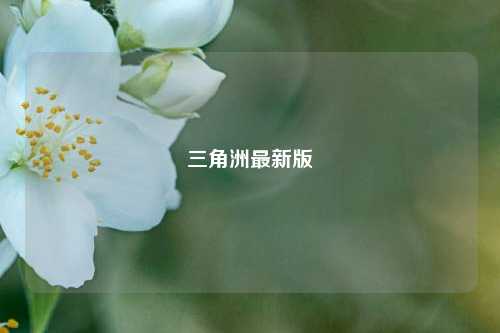 三角洲最新版  第1张