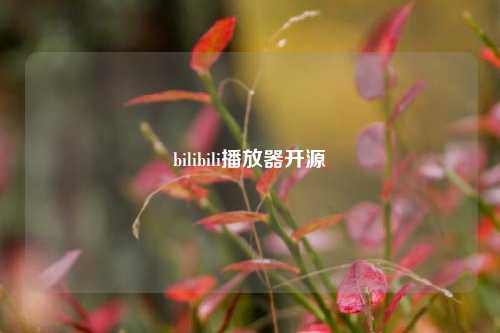 bilibili播放器开源  第1张