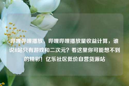 哔哩哔哩播放，哔哩哔哩播放量收益计算，谁说B站只有游戏和二次元？看这里你可能想不到的精彩！亿乐社区低价自营货源站  第1张