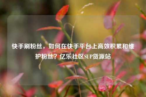 快手刷粉丝，如何在快手平台上高效积累和维护粉丝？亿乐社区SUP货源站  第1张