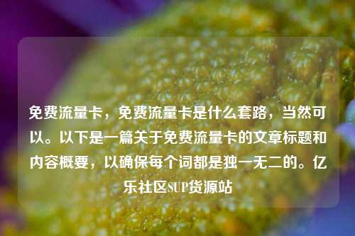 免费流量卡，免费流量卡是什么套路，当然可以。以下是一篇关于免费流量卡的文章标题和内容概要，以确保每个词都是独一无二的。亿乐社区SUP货源站  第1张