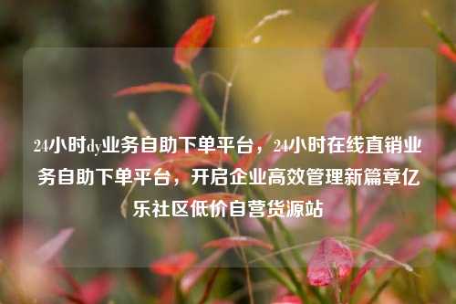 24小时dy业务自助下单平台，24小时在线直销业务自助下单平台	，开启企业高效管理新篇章亿乐社区低价自营货源站  第1张