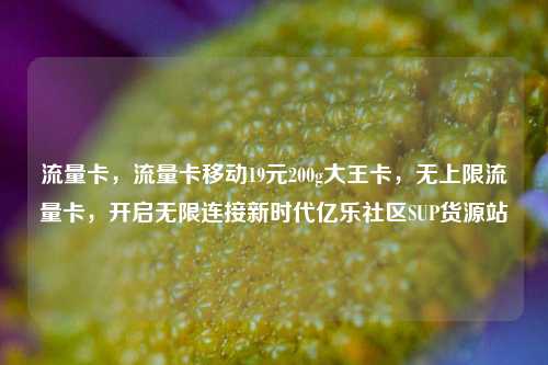 流量卡，流量卡移动19元200g大王卡，无上限流量卡	，开启无限连接新时代亿乐社区SUP货源站  第1张