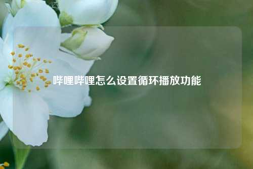 哔哩哔哩怎么设置循环播放功能  第1张