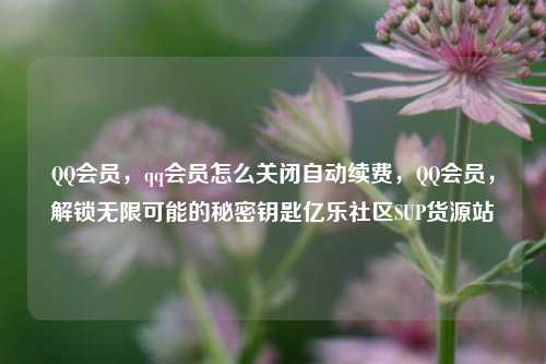 QQ会员	，qq会员怎么关闭自动续费，QQ会员，解锁无限可能的秘密钥匙亿乐社区SUP货源站  第1张
