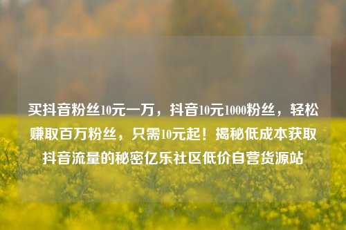 买抖音粉丝10元一万，抖音10元1000粉丝，轻松赚取百万粉丝	，只需10元起！揭秘低成本获取抖音流量的秘密亿乐社区低价自营货源站  第1张