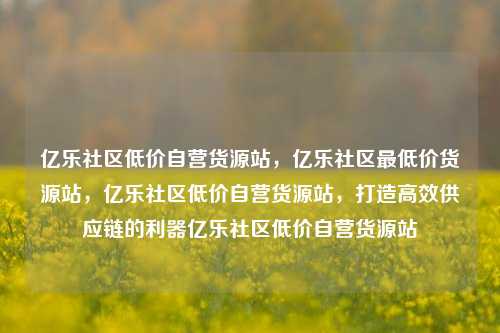 亿乐社区低价自营货源站，亿乐社区最低价货源站，亿乐社区低价自营货源站	，打造高效供应链的利器亿乐社区低价自营货源站  第1张