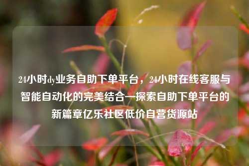 24小时dy业务自助下单平台，24小时在线客服与智能自动化的完美结合—探索自助下单平台的新篇章亿乐社区低价自营货源站  第1张