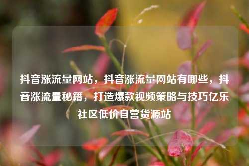 抖音涨流量网站，抖音涨流量网站有哪些，抖音涨流量秘籍	，打造爆款视频策略与技巧亿乐社区低价自营货源站  第1张