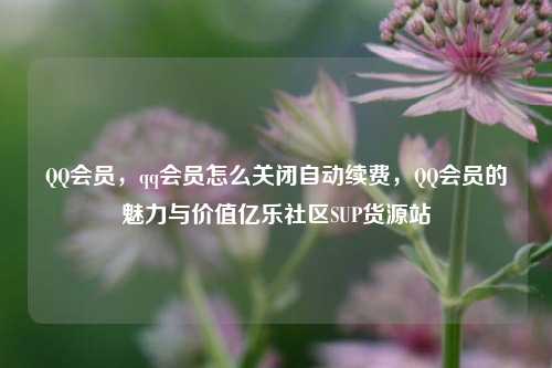 QQ会员，qq会员怎么关闭自动续费，QQ会员的魅力与价值亿乐社区SUP货源站  第1张