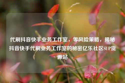 代刷抖音快手业务工作室，零风险策略，揭秘抖音快手代刷业务工作室的秘密亿乐社区SUP货源站  第1张