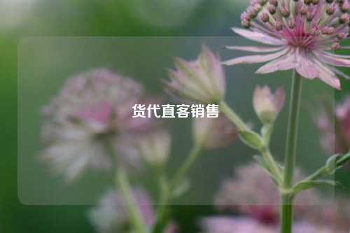货代直客销售  第1张