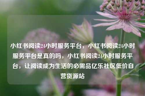小红书阅读24小时服务平台，小红书阅读24小时服务平台是真的吗，小红书阅读24小时服务平台	，让阅读成为生活的必需品亿乐社区低价自营货源站  第1张