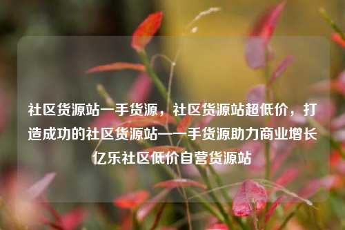 社区货源站一手货源，社区货源站超低价	，打造成功的社区货源站—一手货源助力商业增长亿乐社区低价自营货源站  第1张