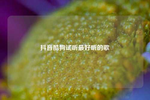 抖音酷狗试听最好听的歌  第1张