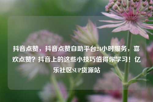 抖音点赞	，抖音点赞自助平台24小时服务，喜欢点赞？抖音上的这些小技巧值得你学习！亿乐社区SUP货源站  第1张