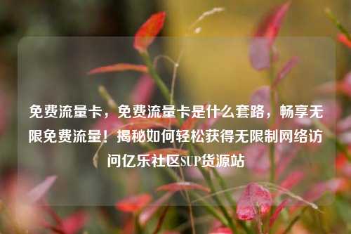 免费流量卡，免费流量卡是什么套路	，畅享无限免费流量！揭秘如何轻松获得无限制网络访问亿乐社区SUP货源站  第1张