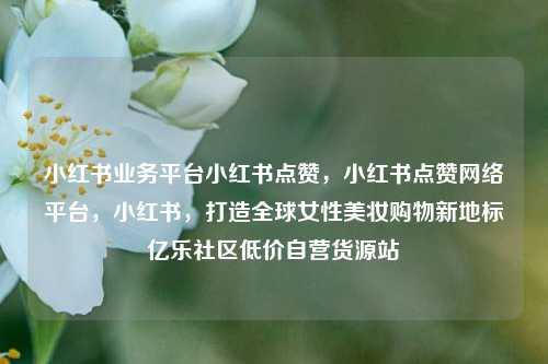 小红书业务平台小红书点赞	，小红书点赞网络平台，小红书，打造全球女性美妆购物新地标亿乐社区低价自营货源站  第1张