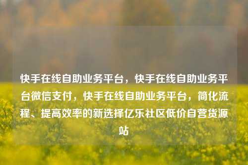 快手在线自助业务平台，快手在线自助业务平台微信支付	，快手在线自助业务平台，简化流程	、提高效率的新选择亿乐社区低价自营货源站  第1张