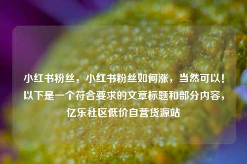 小红书粉丝，小红书粉丝如何涨，当然可以！以下是一个符合要求的文章标题和部分内容	，亿乐社区低价自营货源站  第1张