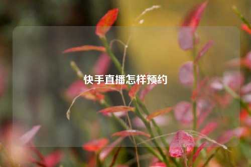 快手直播怎样预约  第1张