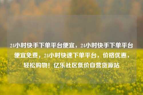 24小时快手下单平台便宜，24小时快手下单平台便宜免费	，24小时快速下单平台，价格优惠，轻松购物！亿乐社区低价自营货源站  第1张