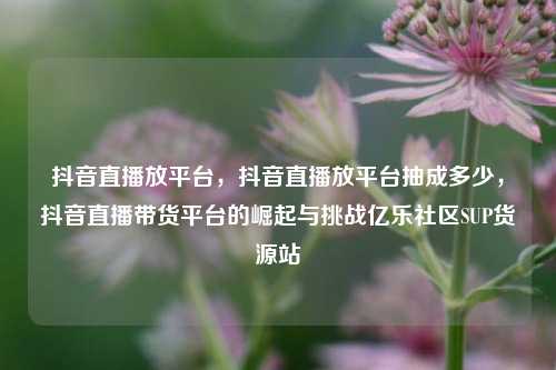 抖音直播放平台，抖音直播放平台抽成多少，抖音直播带货平台的崛起与挑战亿乐社区SUP货源站  第1张